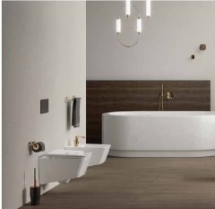 Vitra 7245B476-0090 Equal Asma Klozet Taş Gri Rimex (Kanalsız)