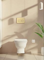 Vitra 740-2325 Root Square Kumanda Paneli Fırçalı Altın