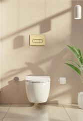 Vitra 740-2225 Root Round Kumanda Paneli Fırçalı Altın